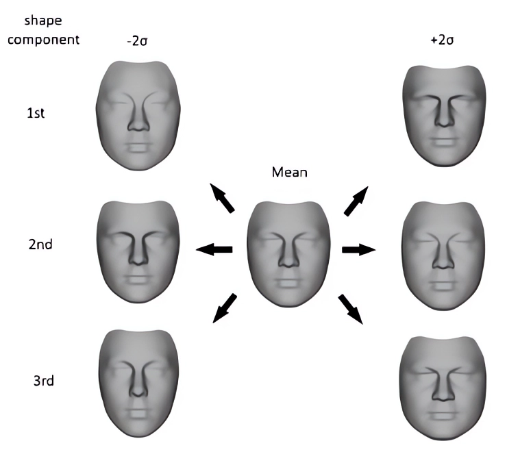 Figure 1: first components of a 3DMM